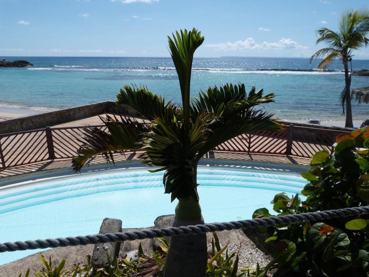 Studio Vue Mer Piscine Plage Kaz Punch Manganao Chez Julie Saint-Francois  Eksteriør billede