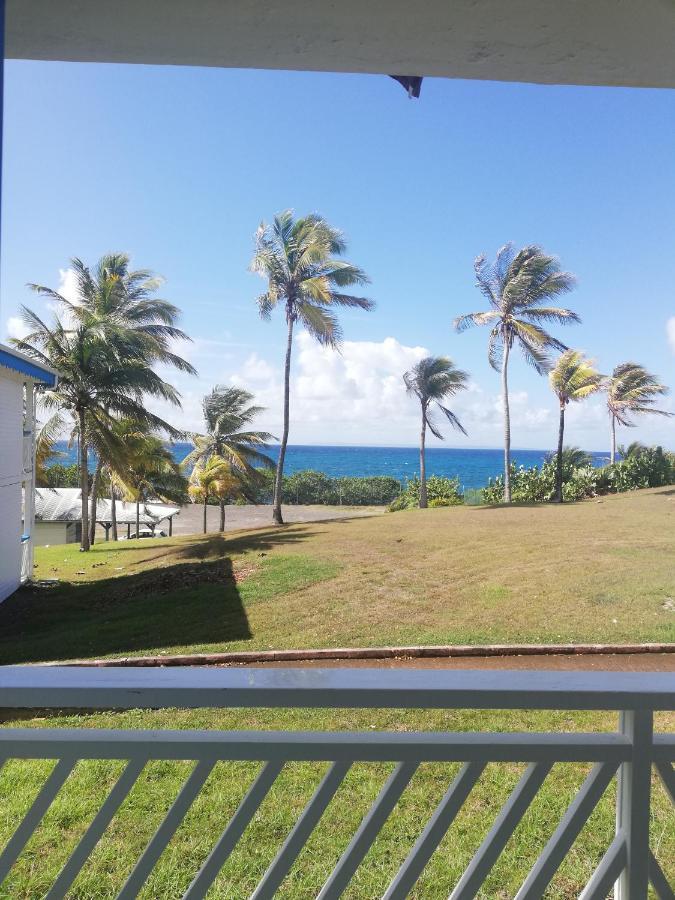 Studio Vue Mer Piscine Plage Kaz Punch Manganao Chez Julie Saint-Francois  Eksteriør billede