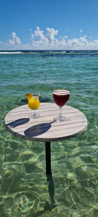Studio Vue Mer Piscine Plage Kaz Punch Manganao Chez Julie Saint-Francois  Eksteriør billede