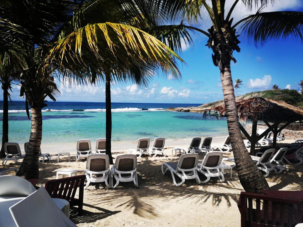 Studio Vue Mer Piscine Plage Kaz Punch Manganao Chez Julie Saint-Francois  Eksteriør billede