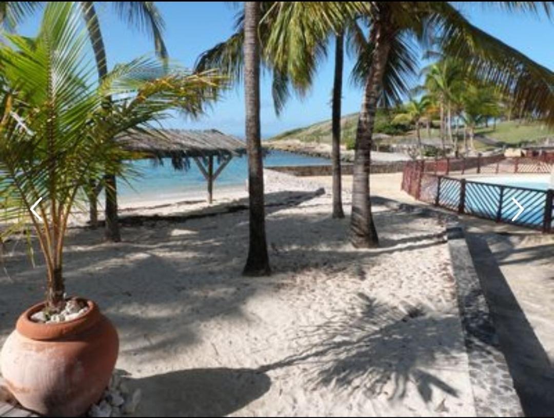 Studio Vue Mer Piscine Plage Kaz Punch Manganao Chez Julie Saint-Francois  Eksteriør billede