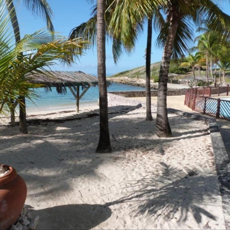 Studio Vue Mer Piscine Plage Kaz Punch Manganao Chez Julie Saint-Francois  Eksteriør billede